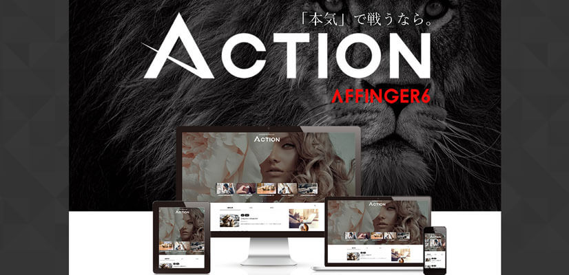 ACTION(AFFINGER6)